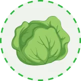 丰富您的游戏体验 - 28圈xinanjie