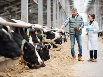 Cultivating a sustainable future for all - 28圈xinanjie