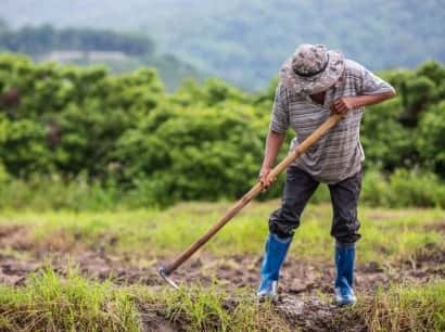 Cultivating a sustainable future for all - 28圈xinanjie
