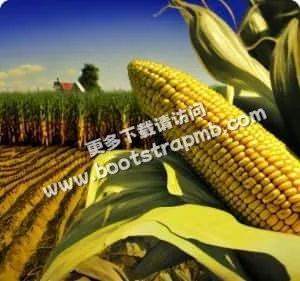 公平遊戲環境，盡在28圈 - 28圈xinanjie