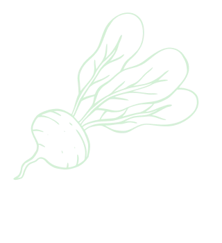 Cultivating a sustainable future for all - 28圈xinanjie