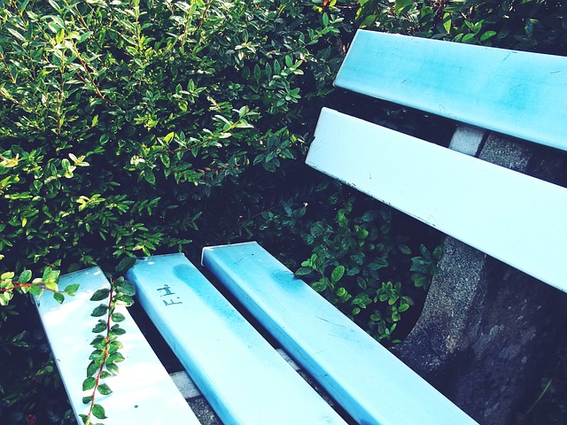 强的凝聚力 强的凝聚力