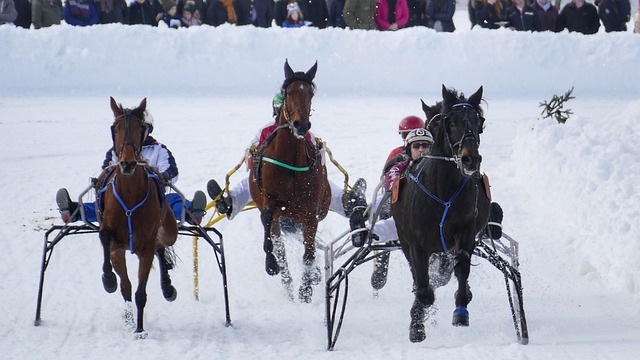 一流球队时 一流球队时