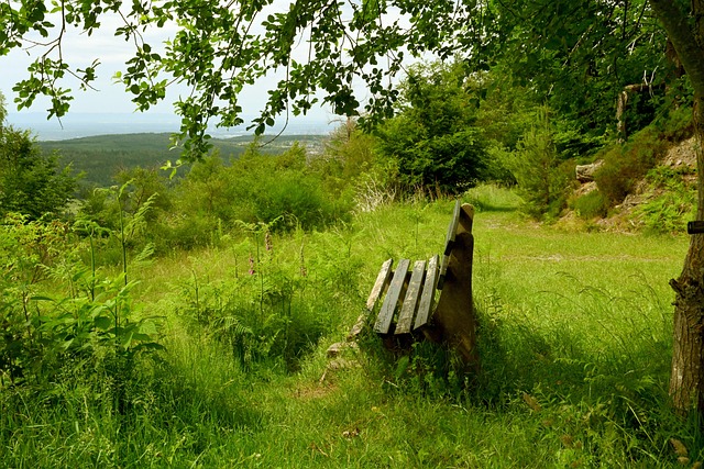 不难看出 不难看出