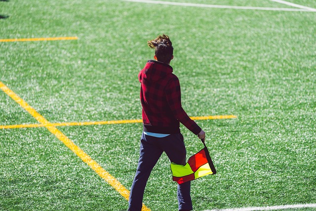 这一机会 这一机会