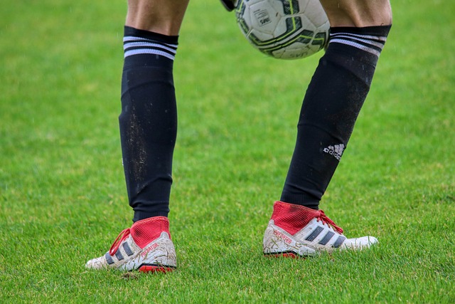 的领导力 的领导力