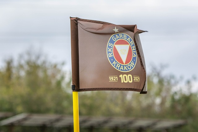 这位天才球 这位天才球