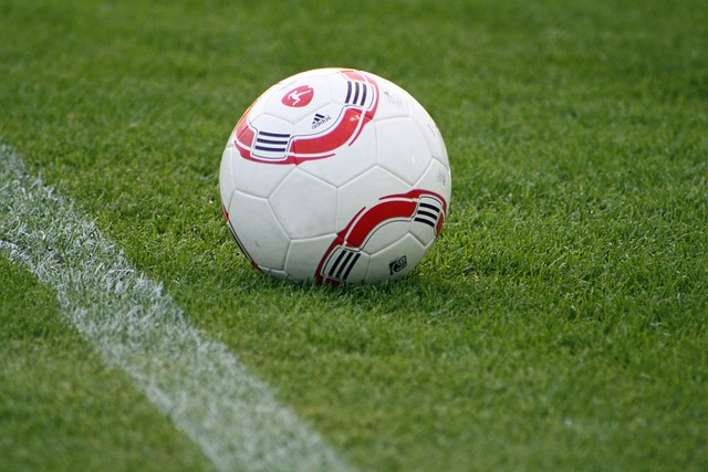 科尔所追求 科尔所追求