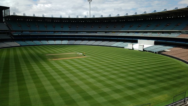 涯的新方向 涯的新方向