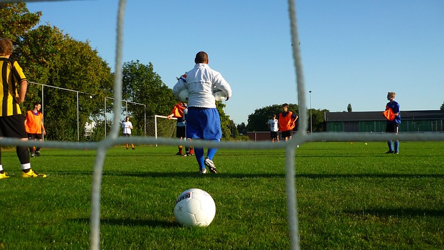 2024年我国完成国土绿化面积超1亿亩.